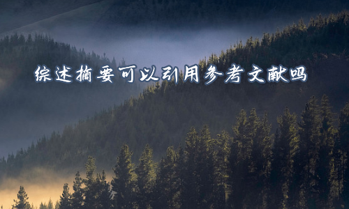 综述摘要可以引用参考文献吗