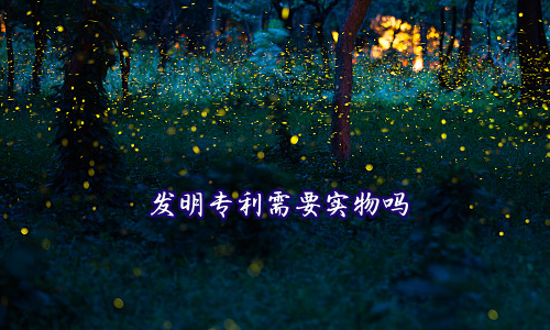 发明专利需要实物吗