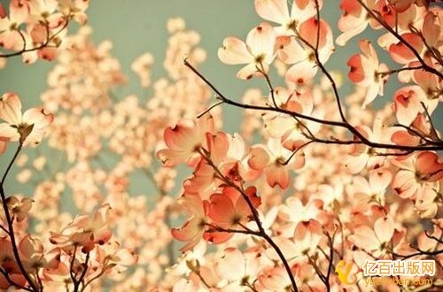 教师评职称出版教材的费用能报销吗