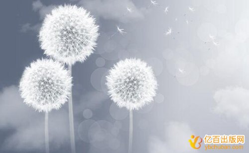 高中教师怎么撰写教材
