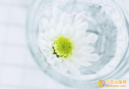 教材第三主编能评什么职称