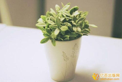 重庆高校老师职称评审专利加分吗