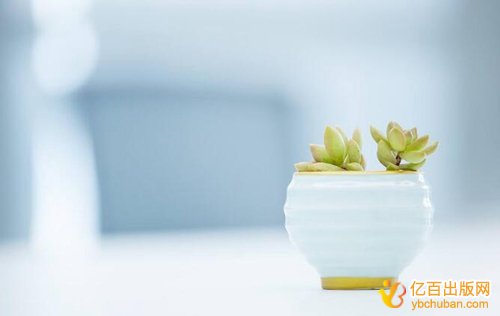 天津评职称副主编和主编区别