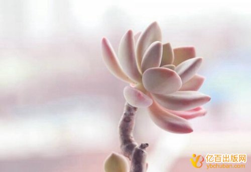 云南评职称教材和专著有什么区别