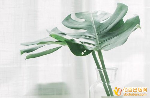 语文教师出版教材有什么程序