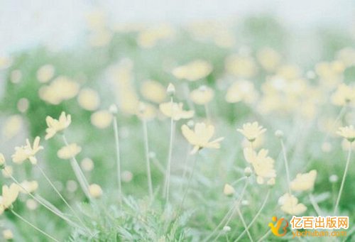美术方面教材出版流程是什么