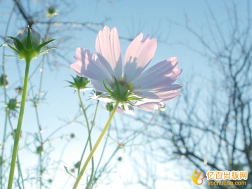 教师自编教材如何向出版社投稿