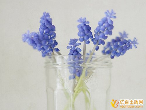 教材主编可以有几个人