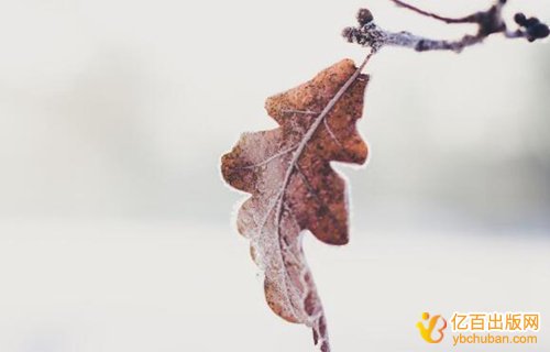 出版教材的流程和费用是多少