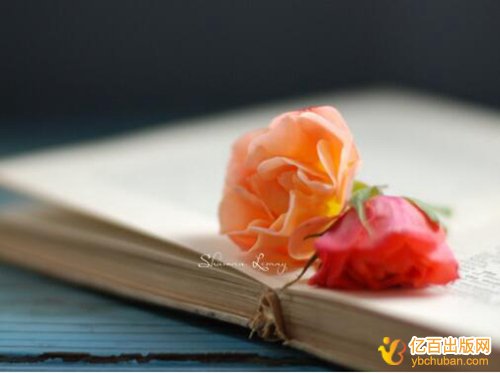 在职老师可以出版辅导书吗