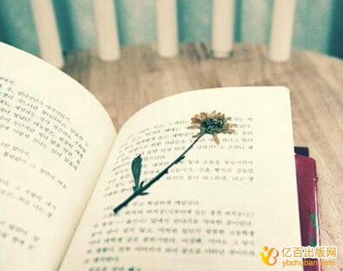 教材挂名副主编对评职称有用吗