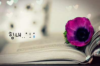 Էѳܹͼ۳
