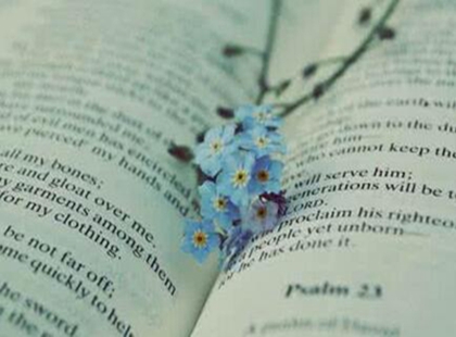 ڵְƾҪ