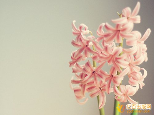 ְƸ˳ЩҪ