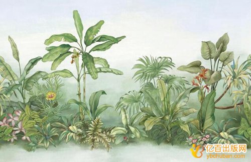 רŶǮ